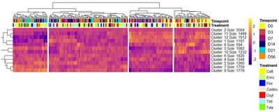 Characterizing the influence of various antimicrobials used for metaphylaxis against bovine respiratory disease on host transcriptome responses